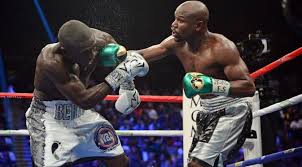 PUSAT SARUNG TANGAN TINJU KULIT