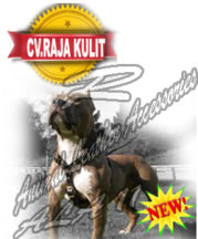 Accessories Hewan Ala 11